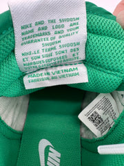 Nike Dunk High Retro Stadium Green DV0829-300 Sz M 6.5/W 8.5