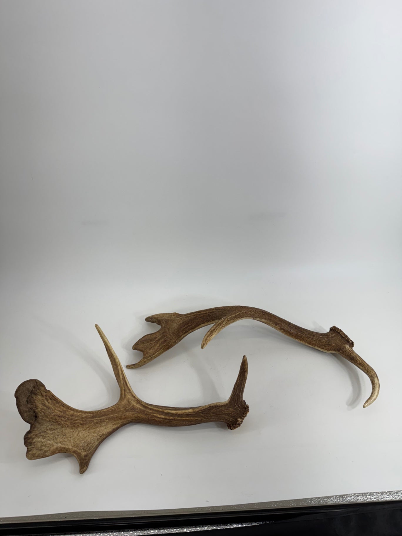 Unbranded Animal Antler