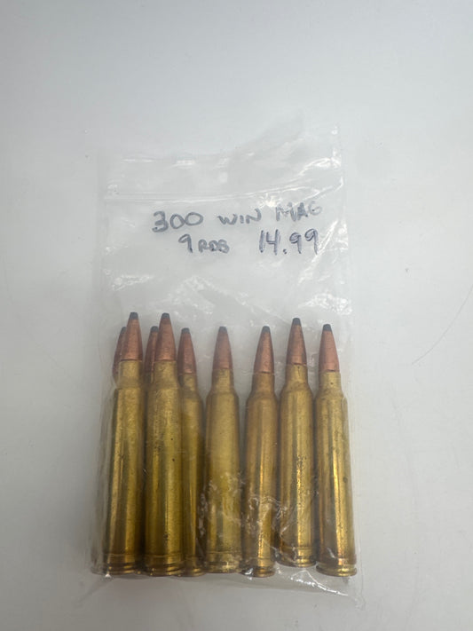 Hornady 300 Win Mag 9rds