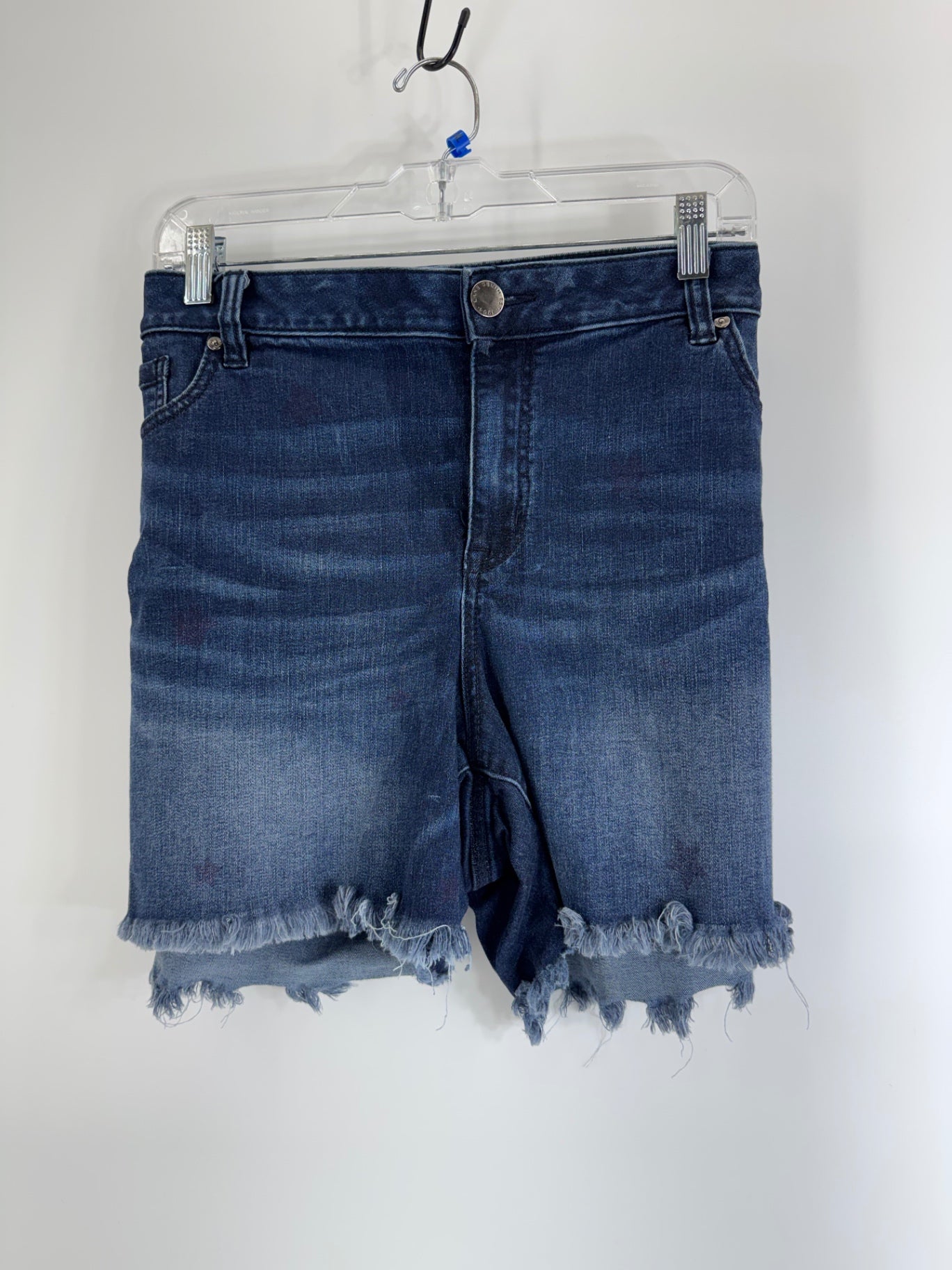 Lane Bryant Blue Denim Shorts