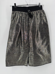 Dolce & Gabbana Silver/Gold Striped Skirt