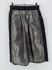 Dolce & Gabbana Silver/Gold Striped Skirt