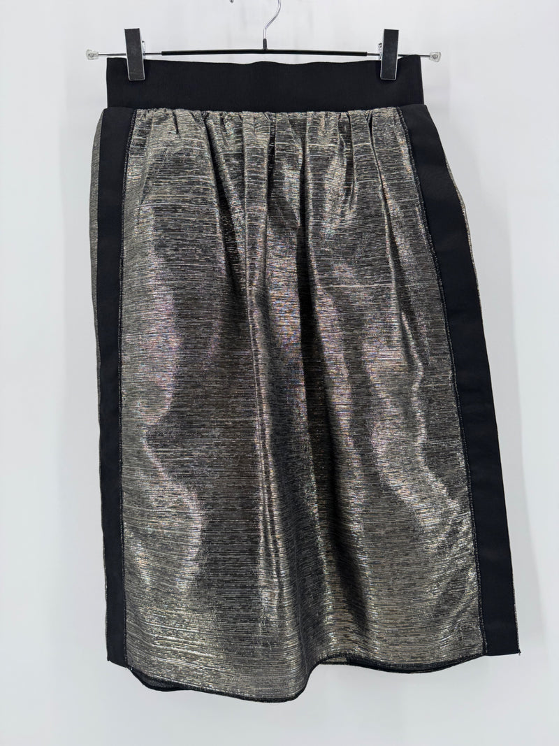 Dolce & Gabbana Silver/Gold Striped Skirt