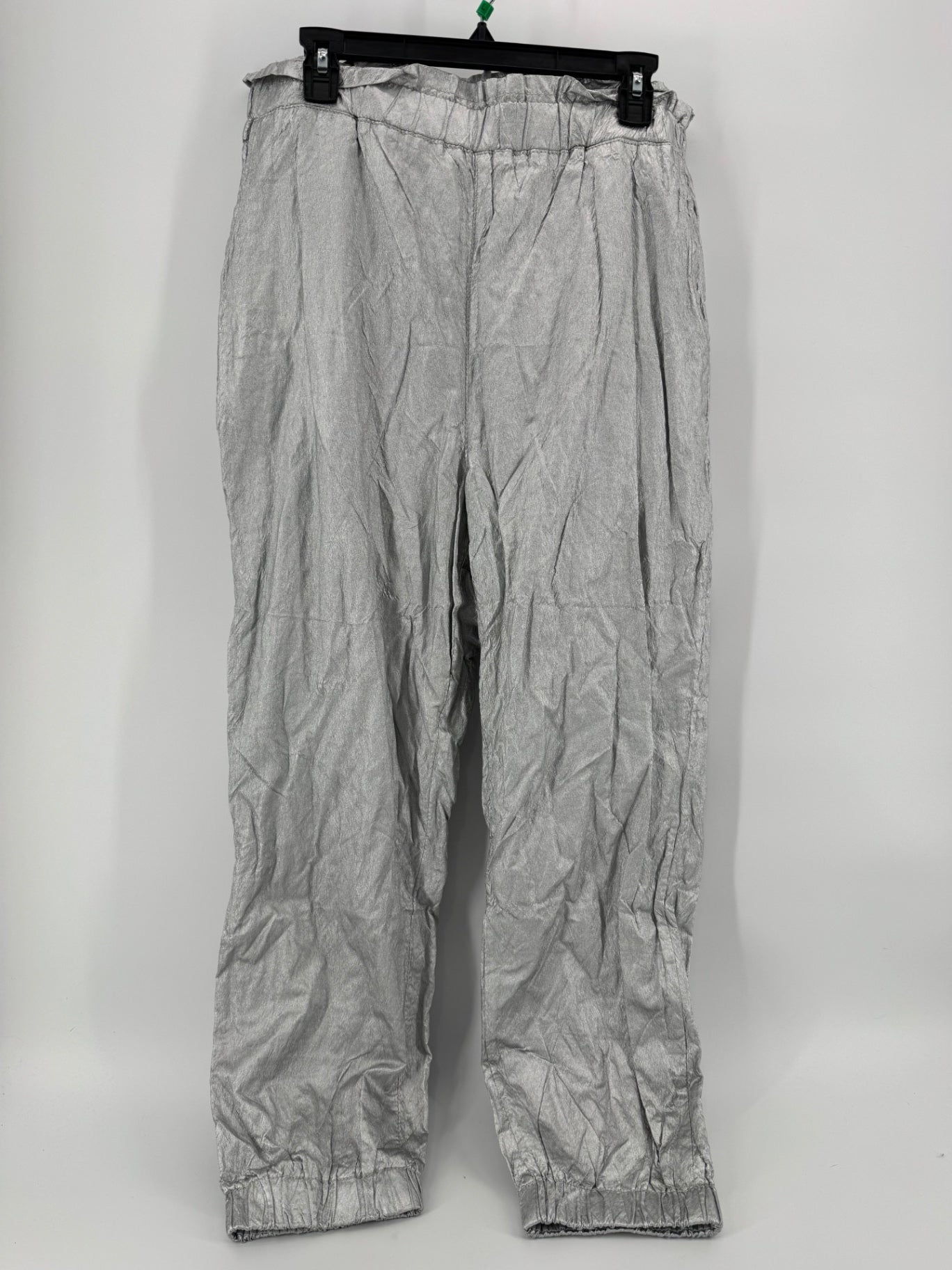 Free People Silver Platinum Pants