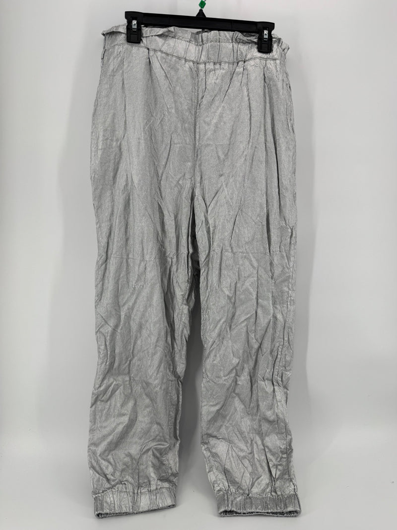 Free People Silver Platinum Pants