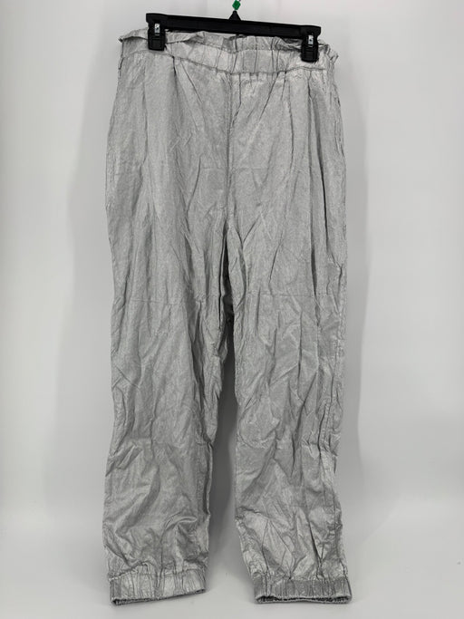 Free People Silver Platinum Pants