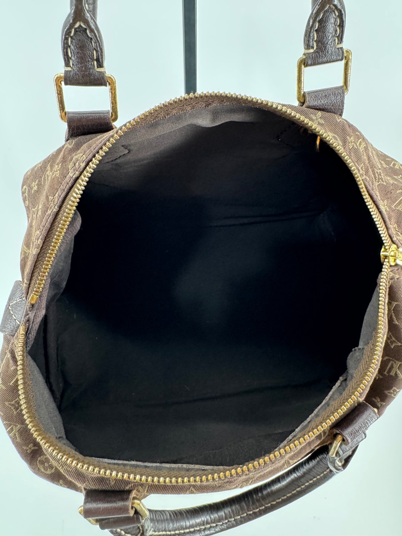 Louis Vuitton Mini Lin Speedy 30
