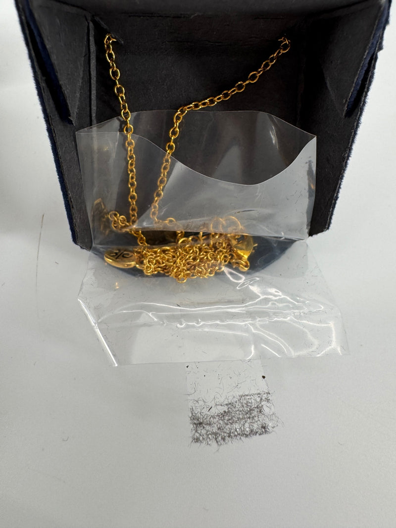 The Danbury Mint Texas Coin Necklace