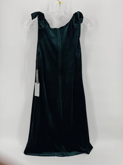 Vince Camuto Dark Green Velvet Dress