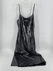 Express Silver Shine Dress
