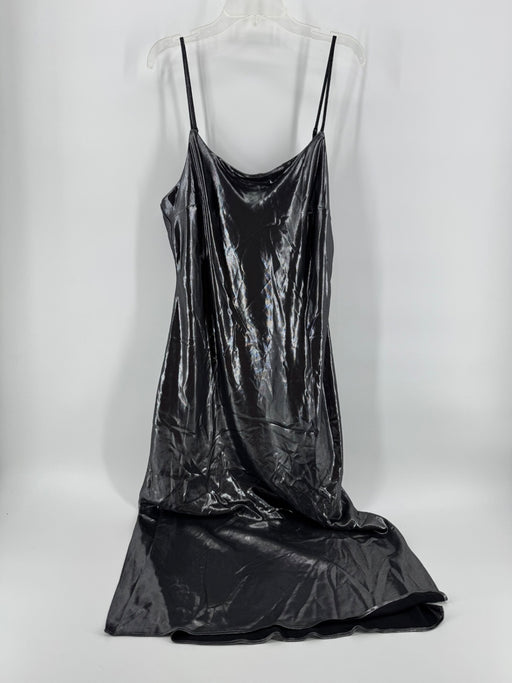 Express Silver Shine Dress