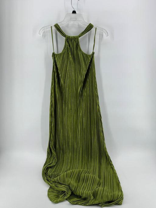 Petal & Pup Green Halter Maxi Dress