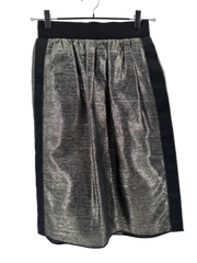 Dolce & Gabbana Silver/Gold Striped Skirt