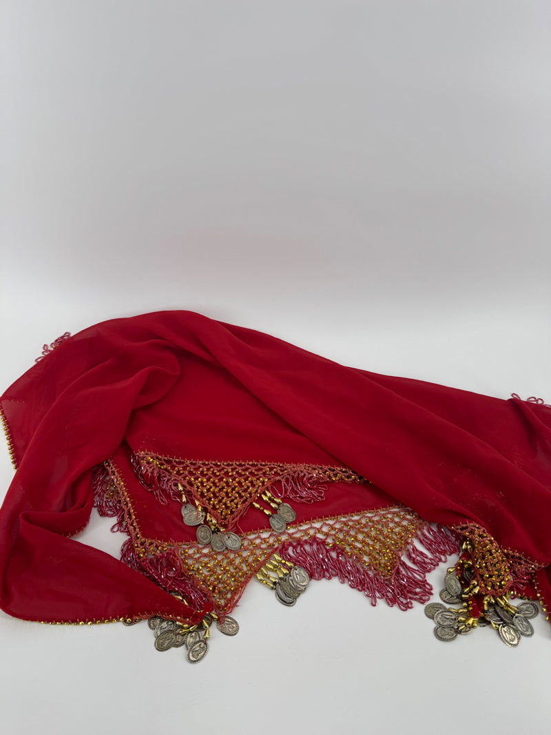 Unbranded Belly Dance Hip Belt 