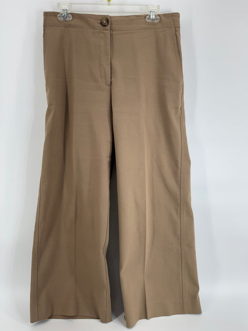 Ann Taylor Tan Dress Trousers Size 10