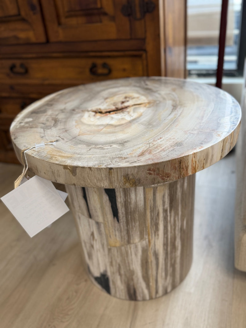 Four Hands Adia Petrified wood end table