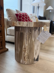 Four Hands Adia Petrified wood end table