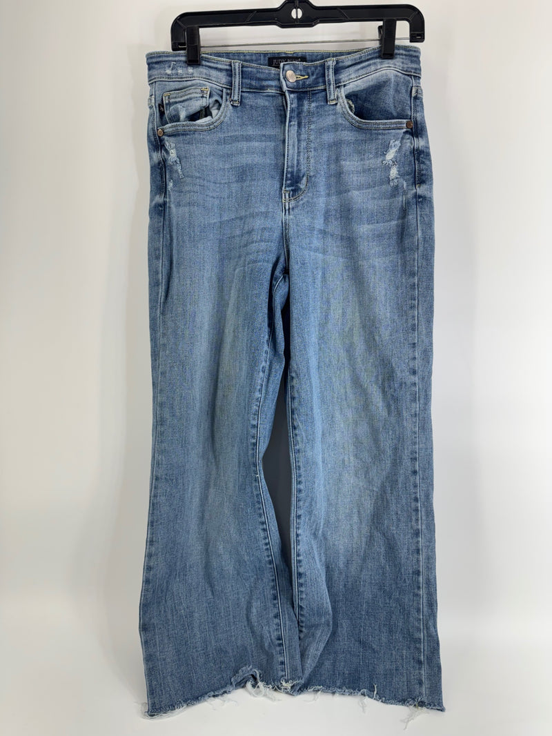 Judy Blue Frayed Hem Jeans Size 28