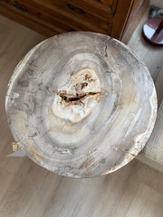 Four Hands Adia Petrified wood end table