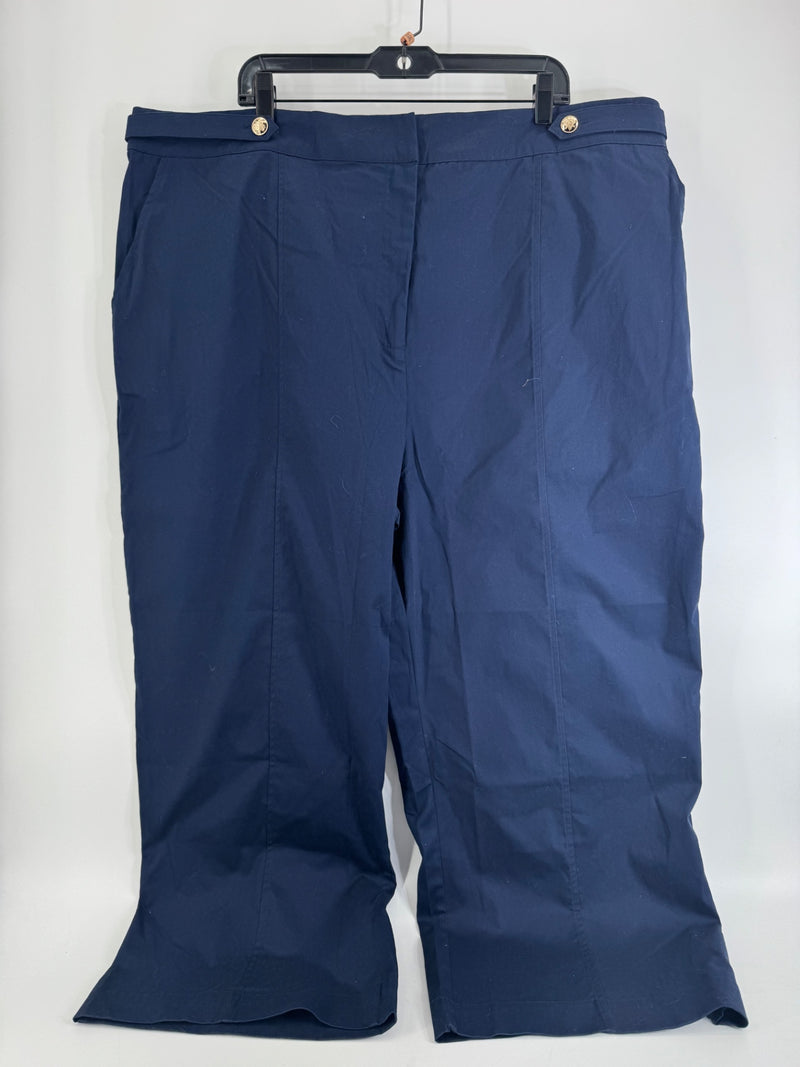 Skies are Blue Curvy Navy Pants Size 3XL